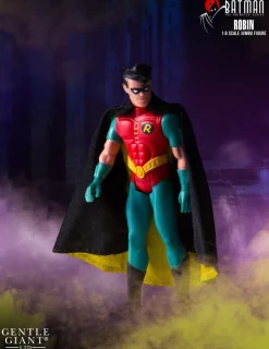 Gentle Giant Batman Animated Series Jumbo Robin Action Figure<DC Best